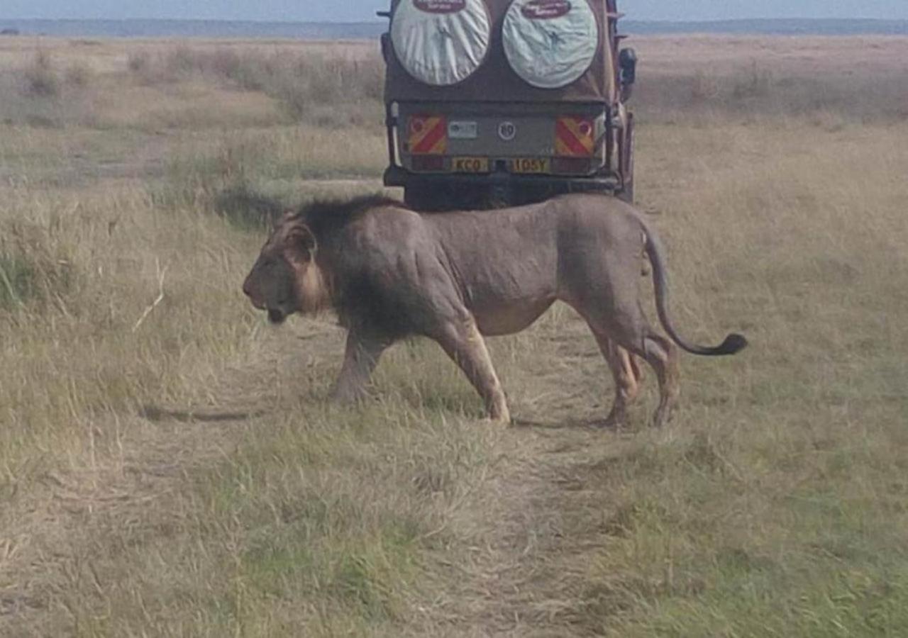 Aa Lodge Maasai Mara Talek Eksteriør billede