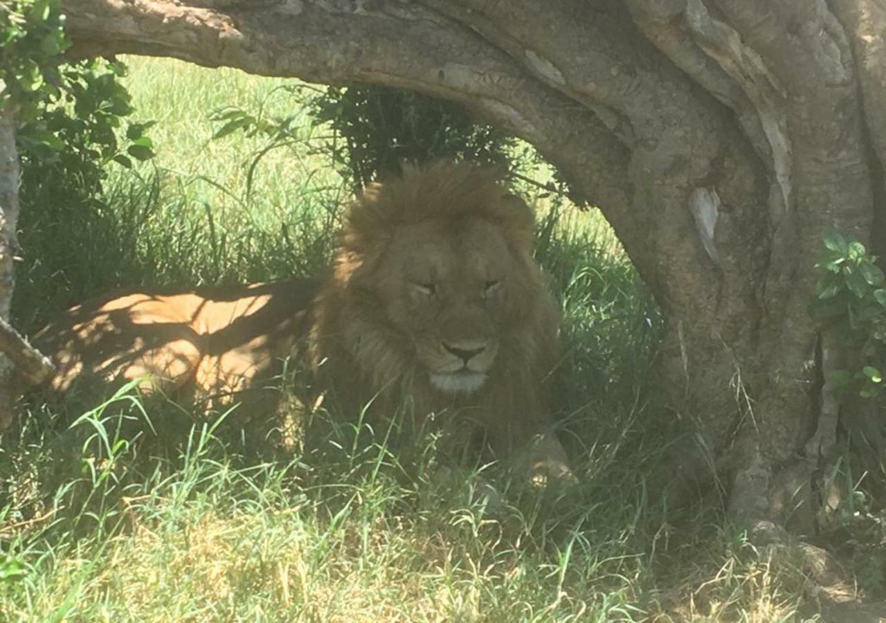 Aa Lodge Maasai Mara Talek Eksteriør billede