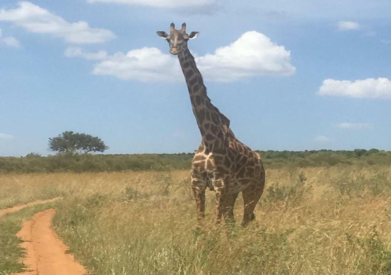 Aa Lodge Maasai Mara Talek Eksteriør billede